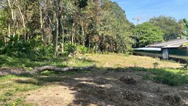 Land for sale in Talat Nuea, Phuket