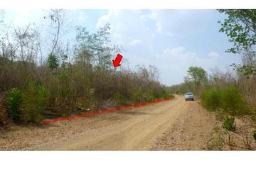 Land for sale in Kan Chu, Phetchabun