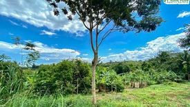 Land for sale in Thap Sai, Chanthaburi