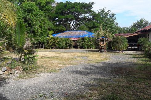 Land for sale in Talat Yai, Chiang Mai