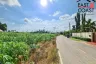 Land for sale in Nong Prue, Chonburi