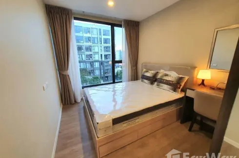 1 Bedroom Condo for rent in The Nest Sukhumvit 64, Bang Chak, Bangkok near BTS Punnawithi
