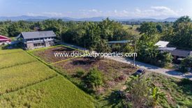 Land for sale in Sa-nga Ban, Chiang Mai