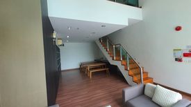 1 Bedroom Condo for rent in The Coast Bangkok, Bang Na, Bangkok near BTS Bang Na