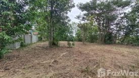 Land for sale in San Phak Wan, Chiang Mai