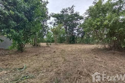 Land for sale in San Phak Wan, Chiang Mai