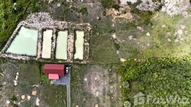 Land for sale in Thep Krasatti, Phuket
