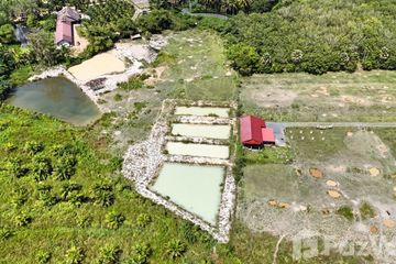 Land for sale in Thep Krasatti, Phuket