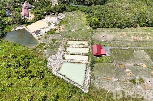 Land for sale in Thep Krasatti, Phuket