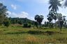 Land for sale in Nong Prue, Chonburi