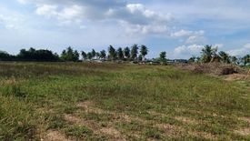 Land for sale in Nong Prue, Chonburi