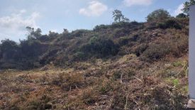 Land for sale in Bo Phut, Surat Thani