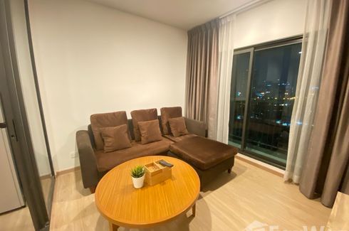1 Bedroom Condo for rent in Life Sukhumvit 48, Phra Khanong, Bangkok near BTS Phra Khanong