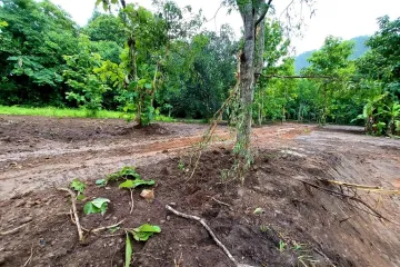 Land for sale in Pa Miang, Chiang Mai