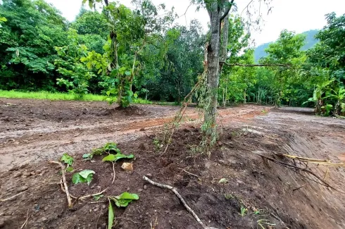 Land for sale in Pa Miang, Chiang Mai
