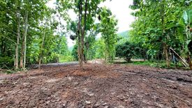 Land for sale in Pa Miang, Chiang Mai