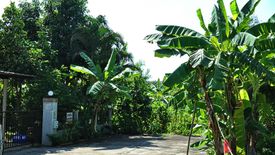 2 Bedroom House for sale in San Pu Loei, Chiang Mai