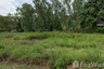 Land for sale in Bo Win, Chonburi