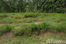 Land for sale in Bo Win, Chonburi