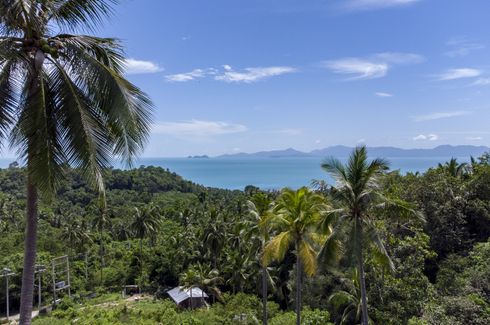 Land for sale in Mae Nam, Surat Thani