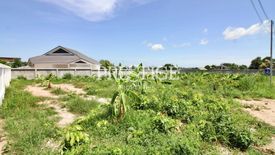 Land for sale in Huai Yai, Chonburi