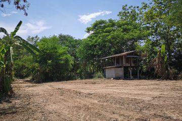 Land for sale in Don Pao, Chiang Mai