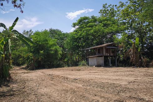 Land for sale in Don Pao, Chiang Mai