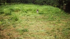 Land for sale in Don Pao, Chiang Mai