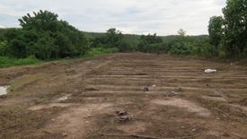 Land for sale in Don Pao, Chiang Mai