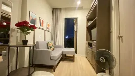 1 Bedroom Condo for rent in Dlux condominium, Chalong, Phuket