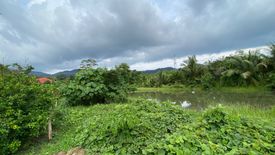 Land for sale in Thep Krasatti, Phuket