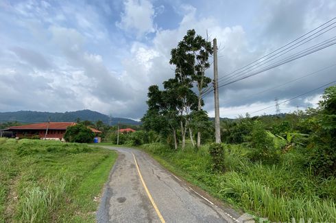 Land for sale in Thep Krasatti, Phuket