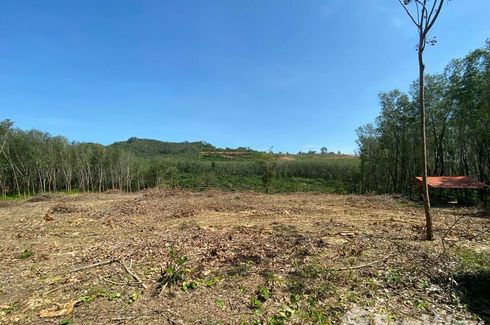 Land for sale in Pa Khlok, Phuket