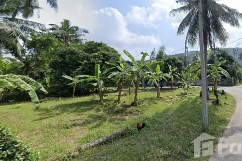 Land for sale in Mae Nam, Surat Thani