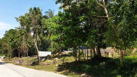 Land for sale in Mae Nam, Surat Thani