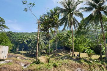 Land for sale in Mae Nam, Surat Thani