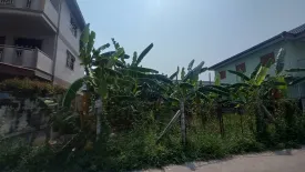 Land for sale in Nong Prue, Chonburi