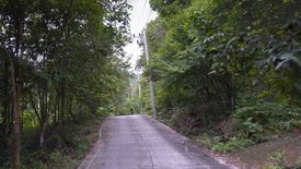 Land for sale in Bo Phut, Surat Thani