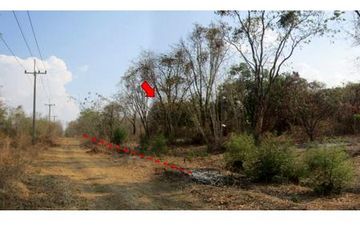 Land for sale in Kan Chu, Phetchabun