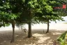 Land for sale in Na Jomtien, Chonburi