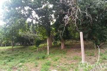 Land for sale in Chang Phueak, Chiang Mai