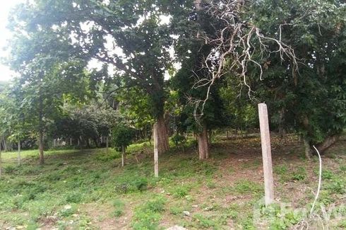 Land for sale in Chang Phueak, Chiang Mai