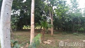 Land for sale in Chang Phueak, Chiang Mai