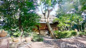 3 Bedroom House for sale in Khua Mung, Chiang Mai