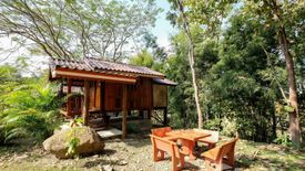 Land for sale in Mae Raem, Chiang Mai