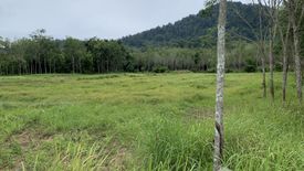 Land for sale in Pa Khlok, Phuket