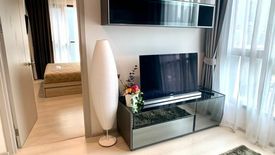 2 Bedroom Condo for rent in Life Sukhumvit 48, Phra Khanong, Bangkok near BTS Phra Khanong