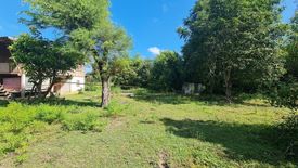 Land for sale in Nong Khon, Ubon Ratchathani