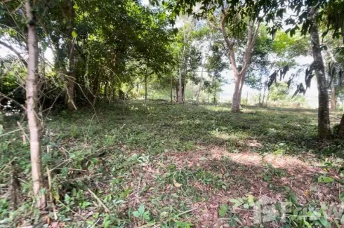 Land for sale in Mai Khao, Phuket