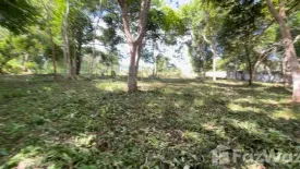 Land for sale in Mai Khao, Phuket